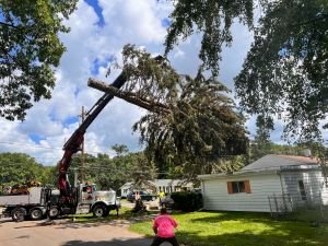 Commercial and Residential 24/7 Emergency Tree Removal Service